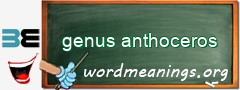 WordMeaning blackboard for genus anthoceros